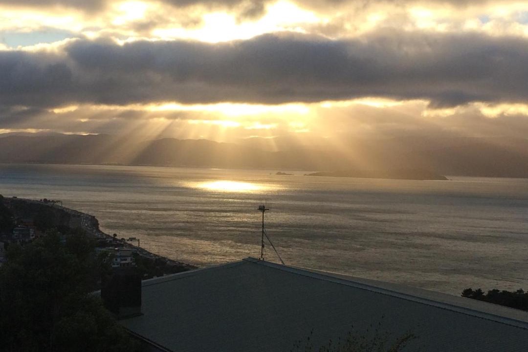 Photo of Others in Wellington