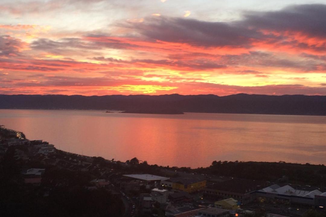 Photo of Others in Wellington