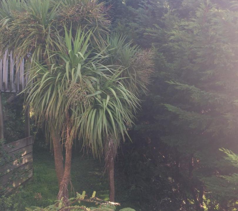 Photo of Others in Wellington