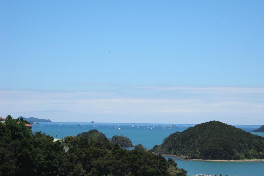 Photo of Others in Paihia