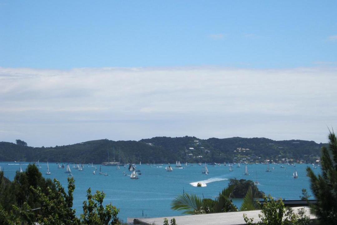 Photo of Others in Paihia