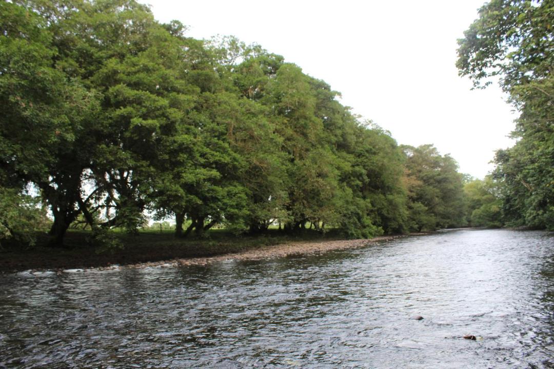 Photo of Outdoor in Las Horquetas
