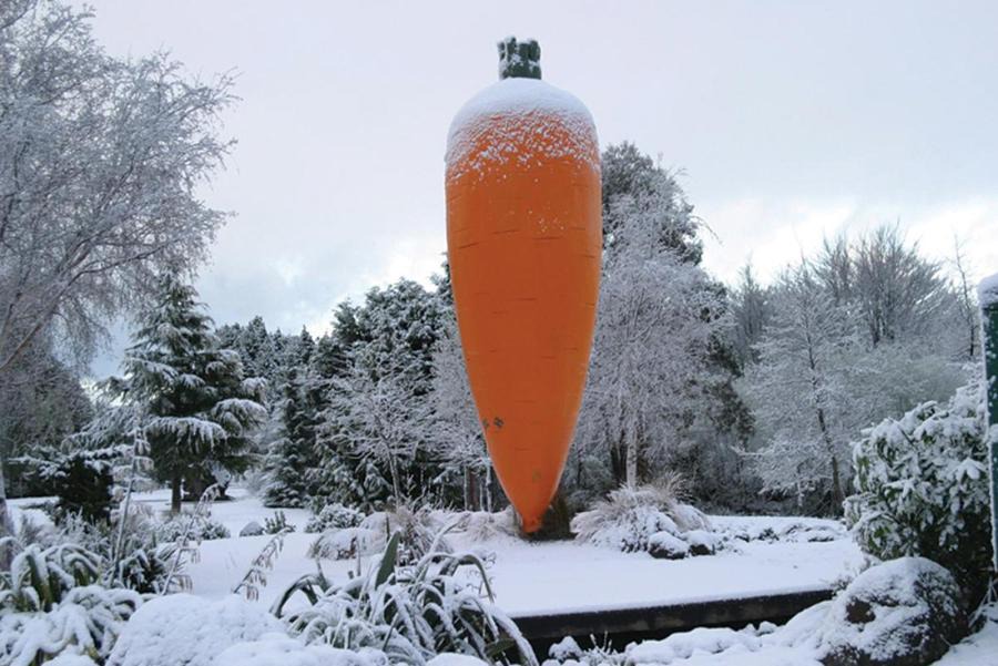Photo of Others in Ohakune