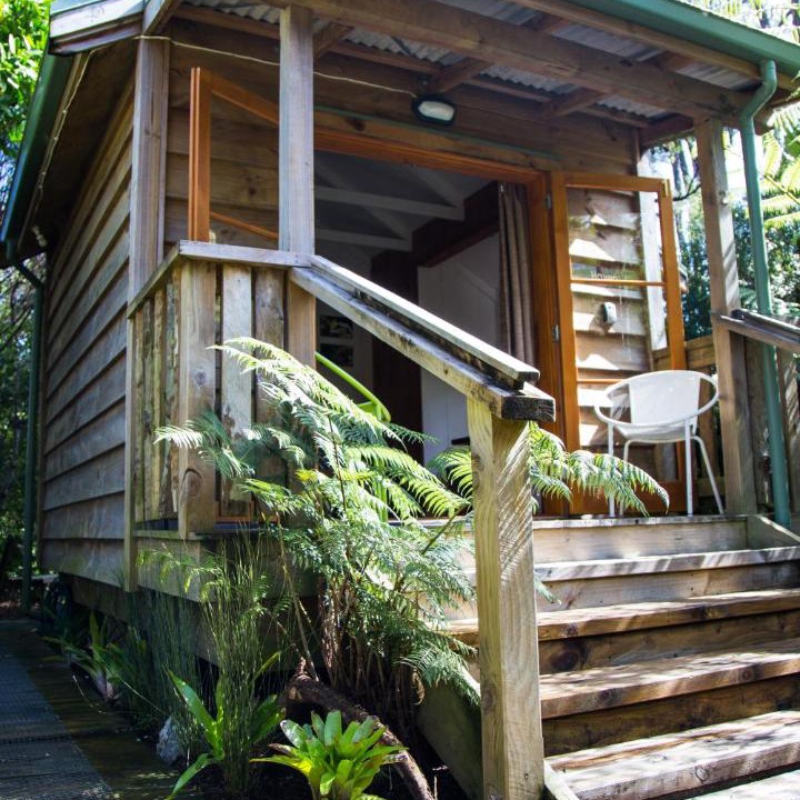 Photo of Others in Coromandel