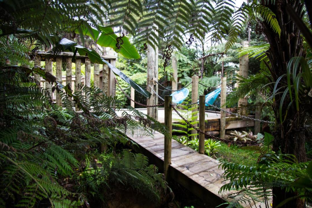 Photo of Others in Coromandel