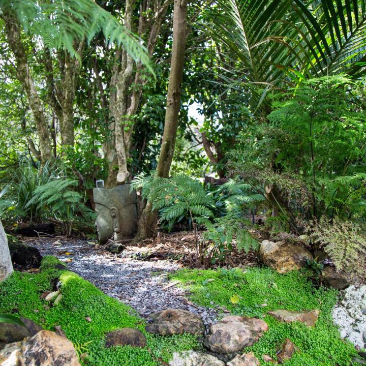 Photo of Others in Coromandel