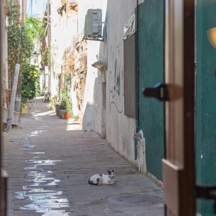 Photo of Buildings in Old Town