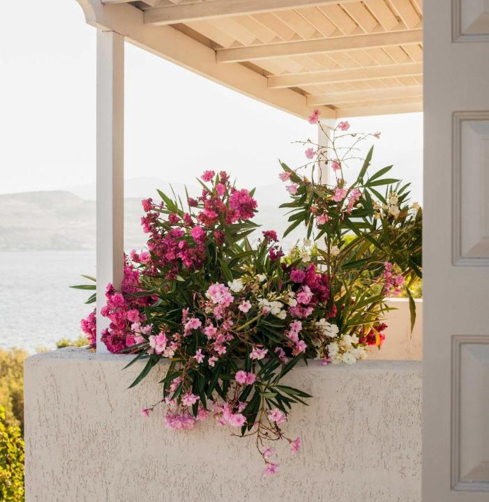 Photo of Patio Balcony in Anaxos