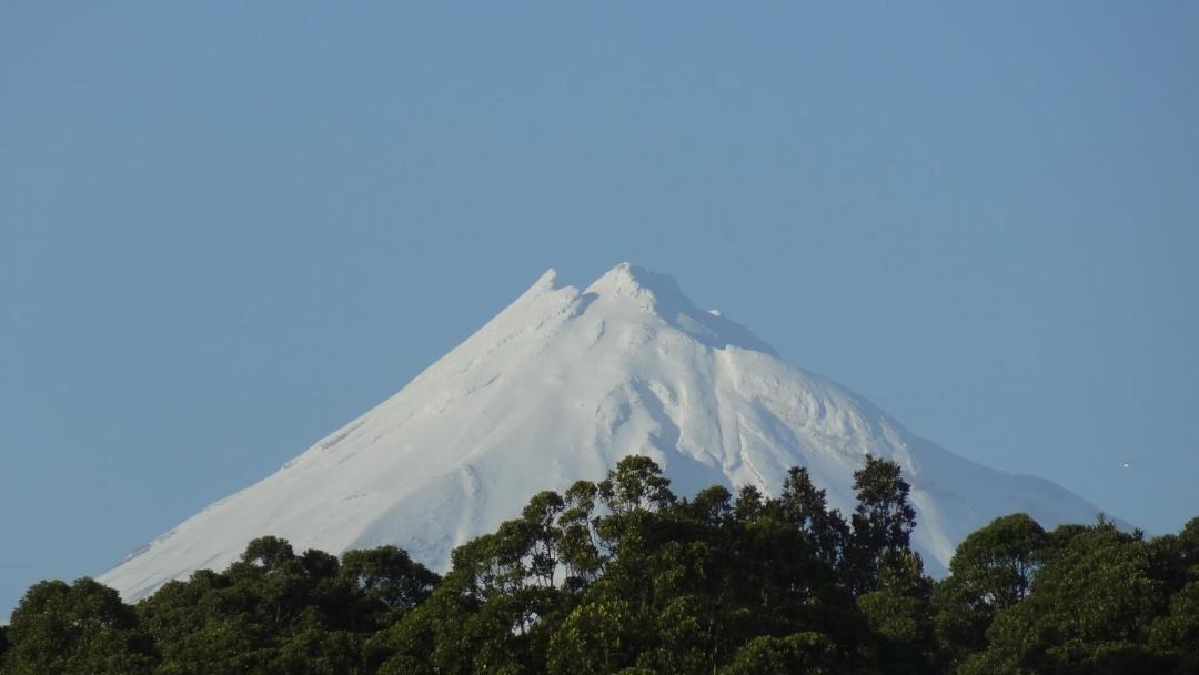 Photo of Others in New Plymouth