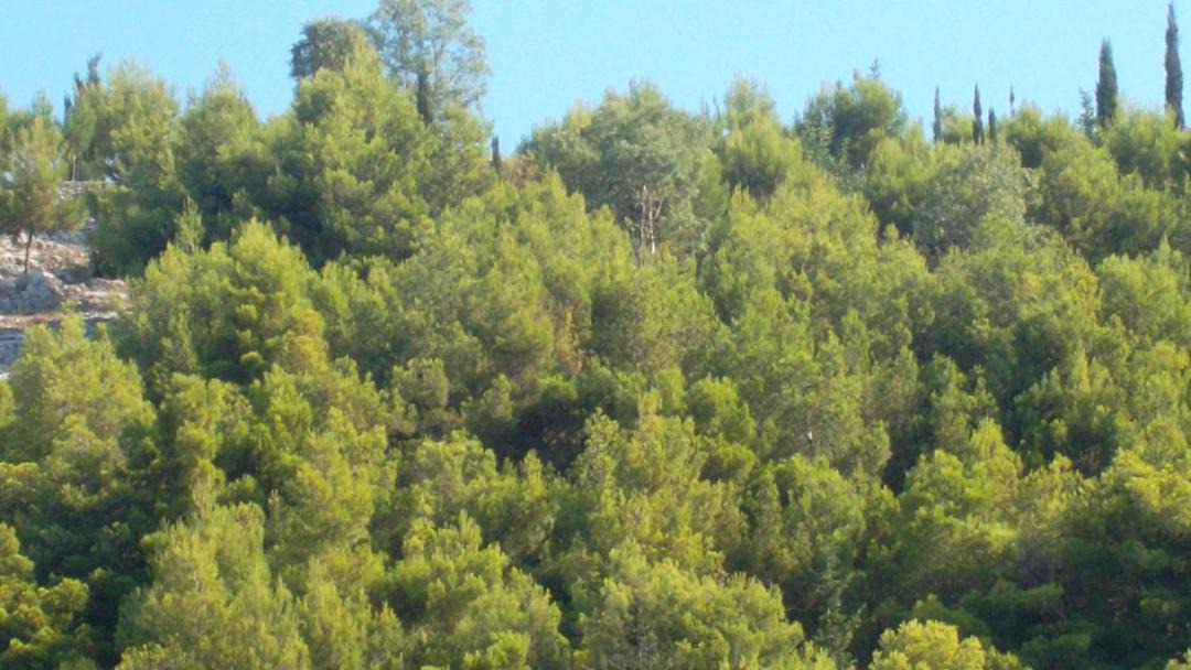 Photo of Outdoor in Agia Marina