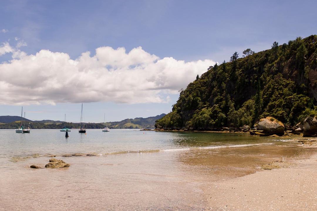 Photo of Others in Cooks Beach