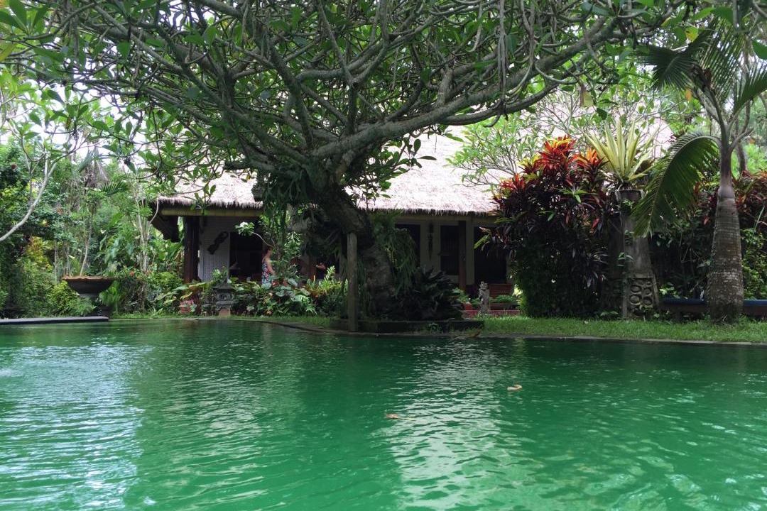Photo of Outdoor in Pekutatan