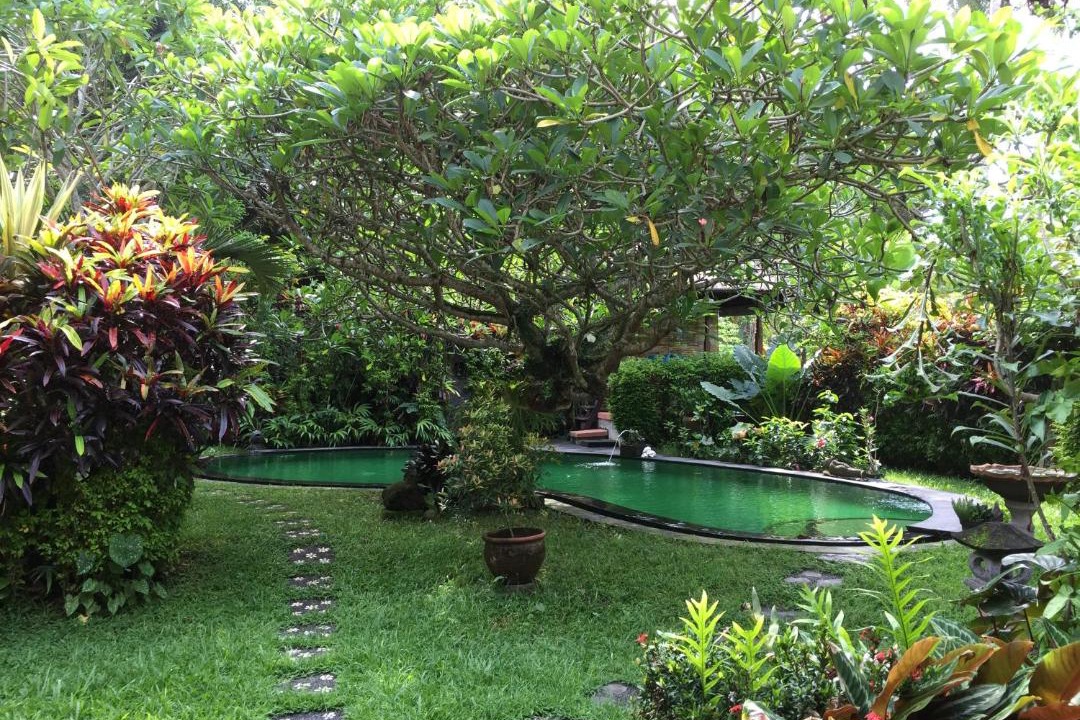 Photo of Outdoor in Pekutatan
