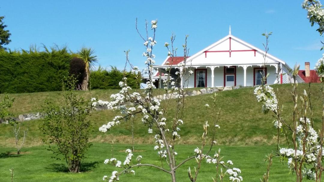 Photo of Others in Manapouri