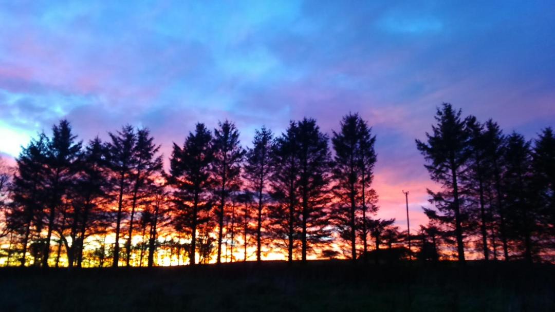 Photo of Others in Aberdeen