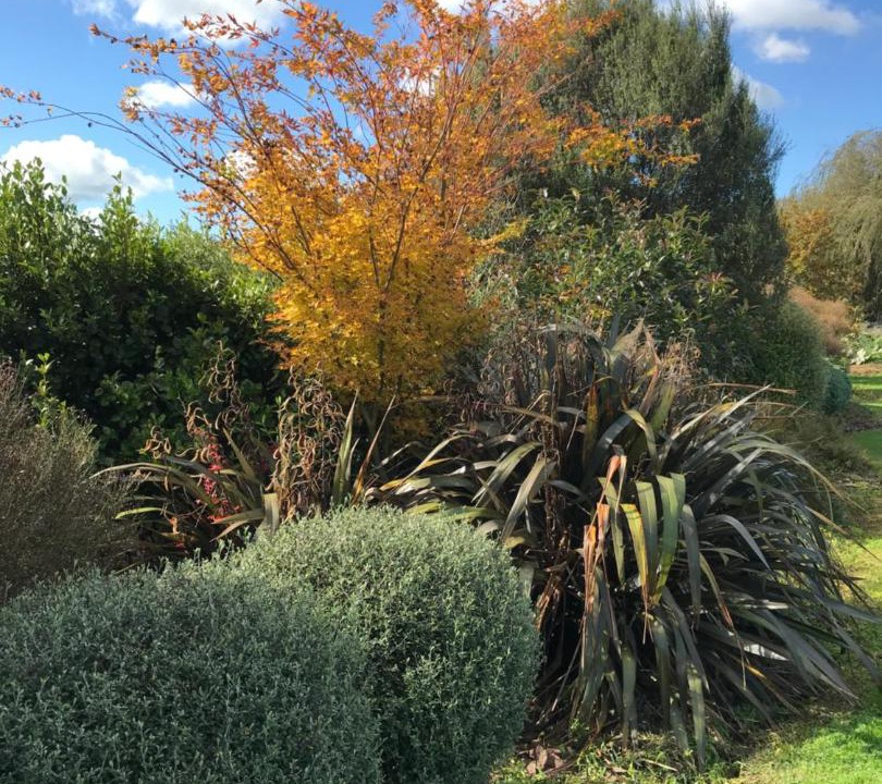 Photo of Others in Otorohanga