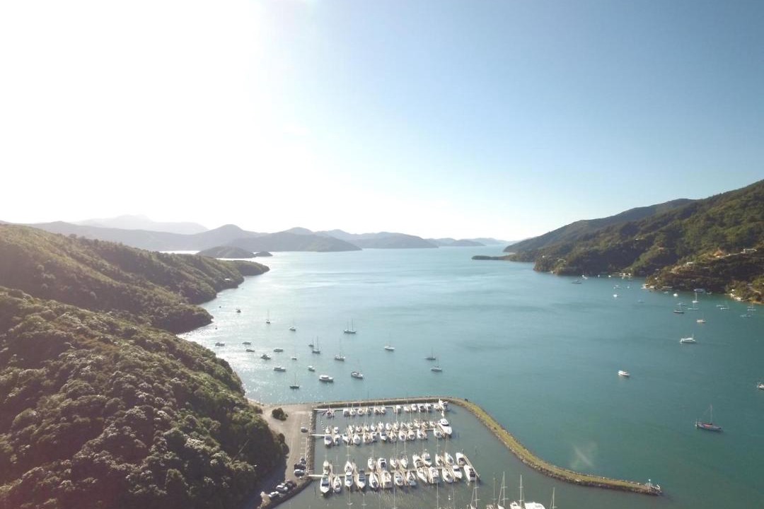 Photo of Outdoor in Waikawa Bay