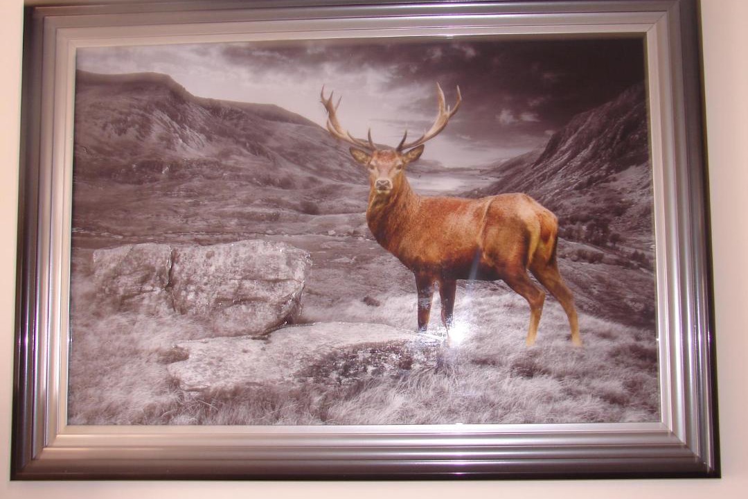 Photo of Others in Cromarty