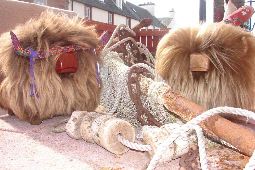 Photo of Others in Cromarty