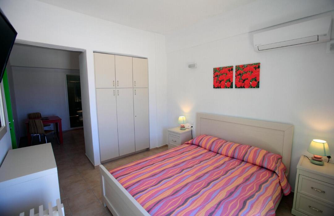 Photo of Others in Alopronia