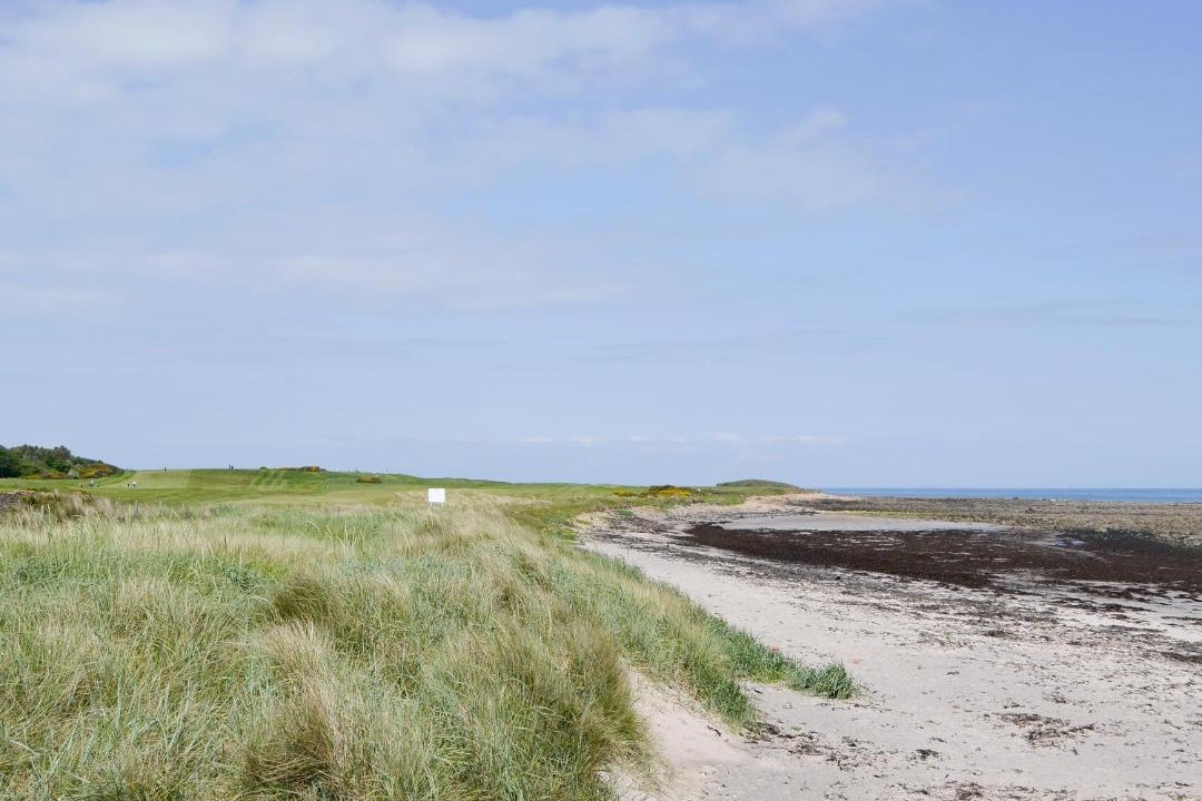 Photo of Outdoor in Dunbar