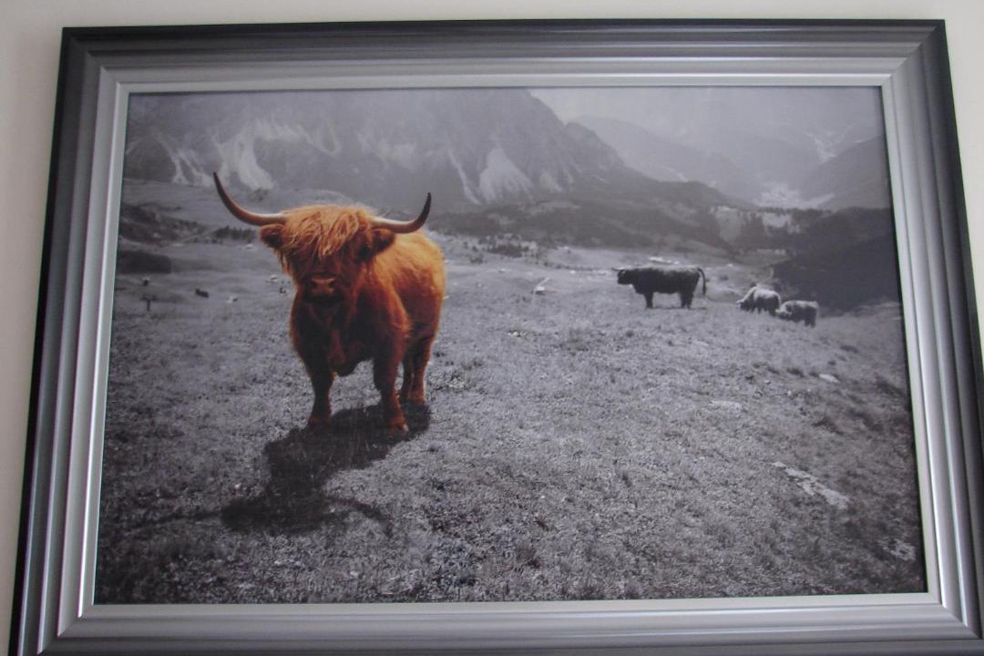 Photo of Others in Cromarty