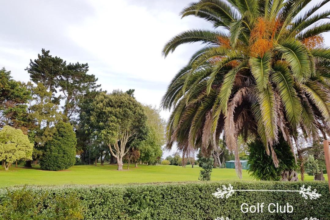 Photo of Others in Manurewa