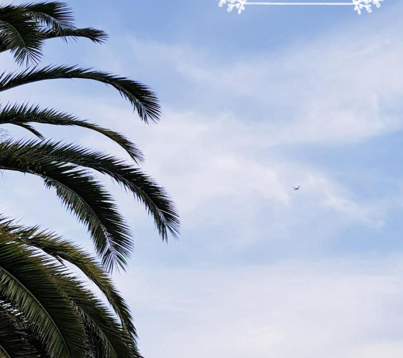 Photo of Outdoor in Manurewa