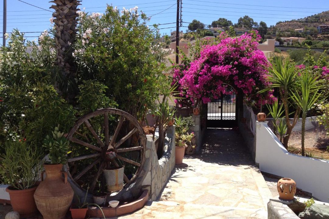 Photo of Others in Agia Pelagia