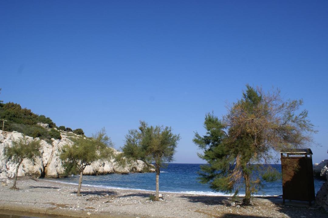 Photo of Others in Kritinia