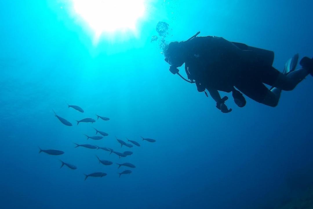 Photo of Others in Labuhan Lombok