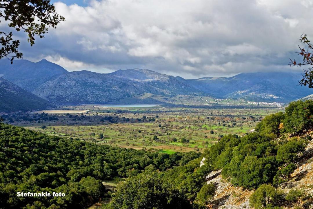 Photo of Outdoor in Kato Metochi