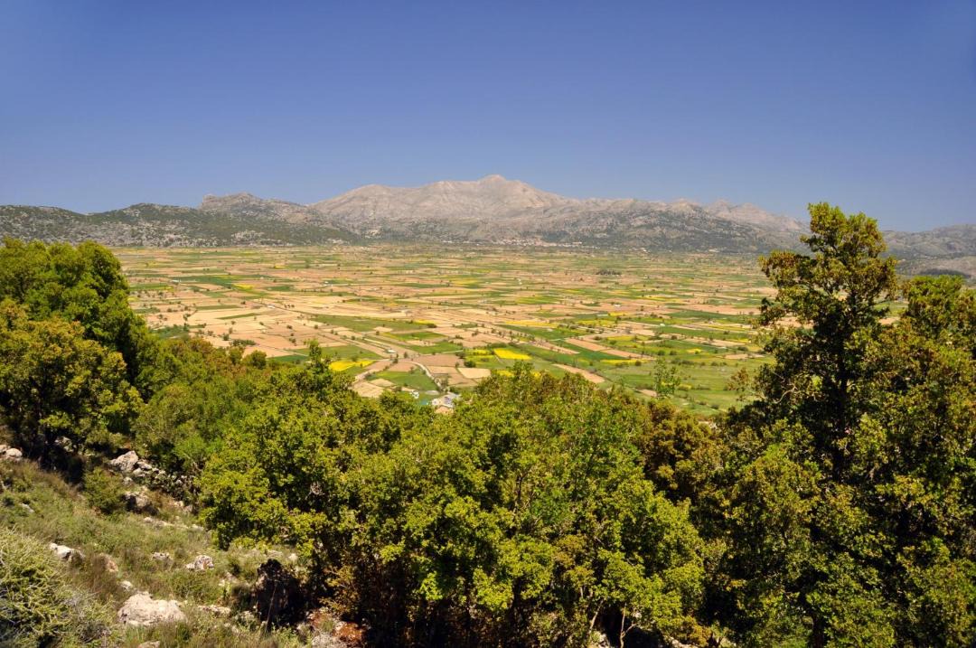 Photo of Outdoor in Kato Metochi