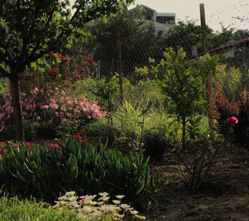 Photo of Outdoor in Ormos Panagias