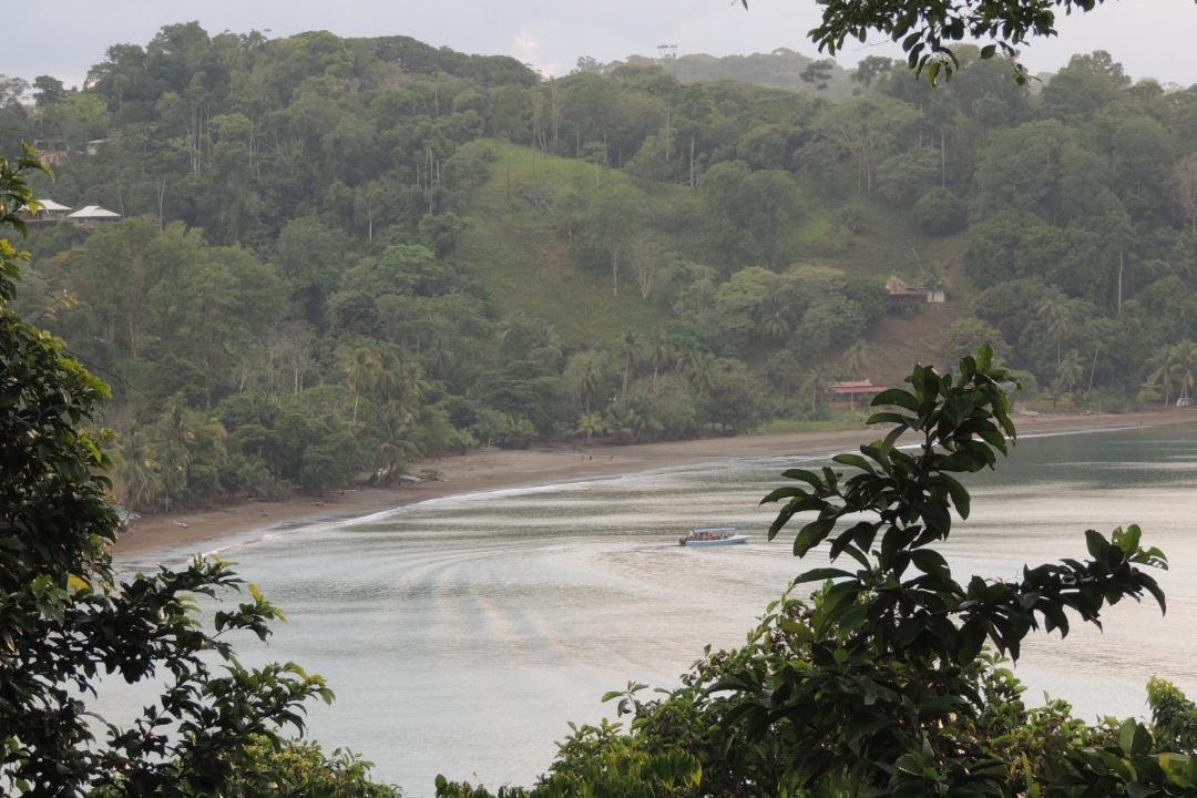 Photo of Others in Drake Bay