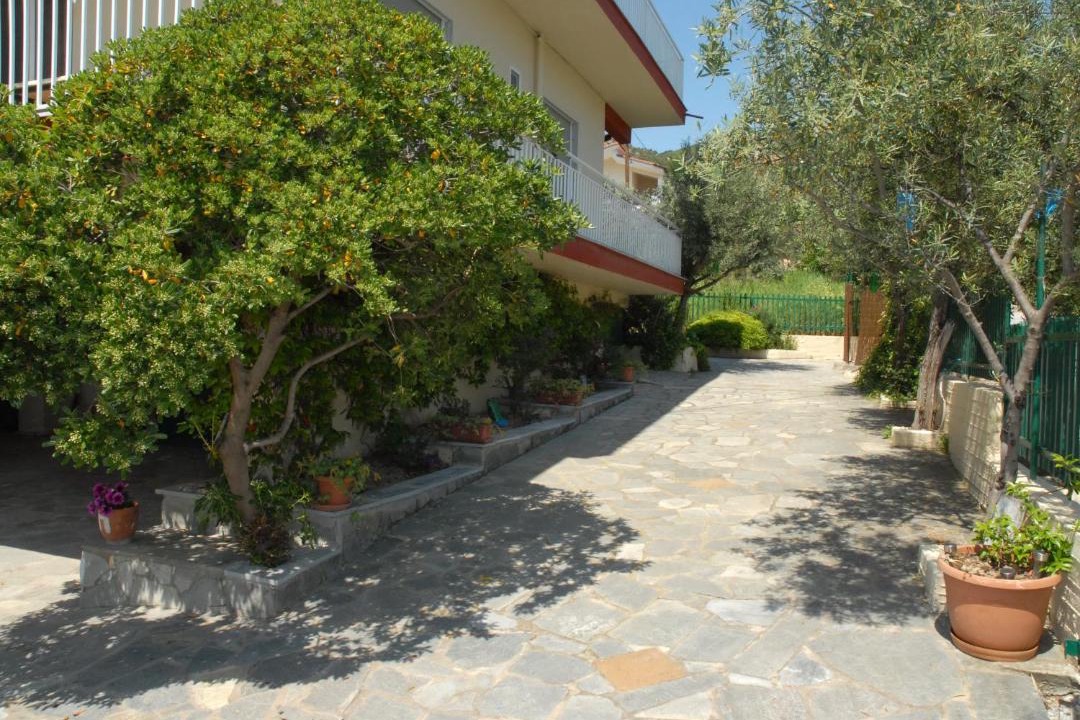 Photo of Others in Palaio Tsifliki
