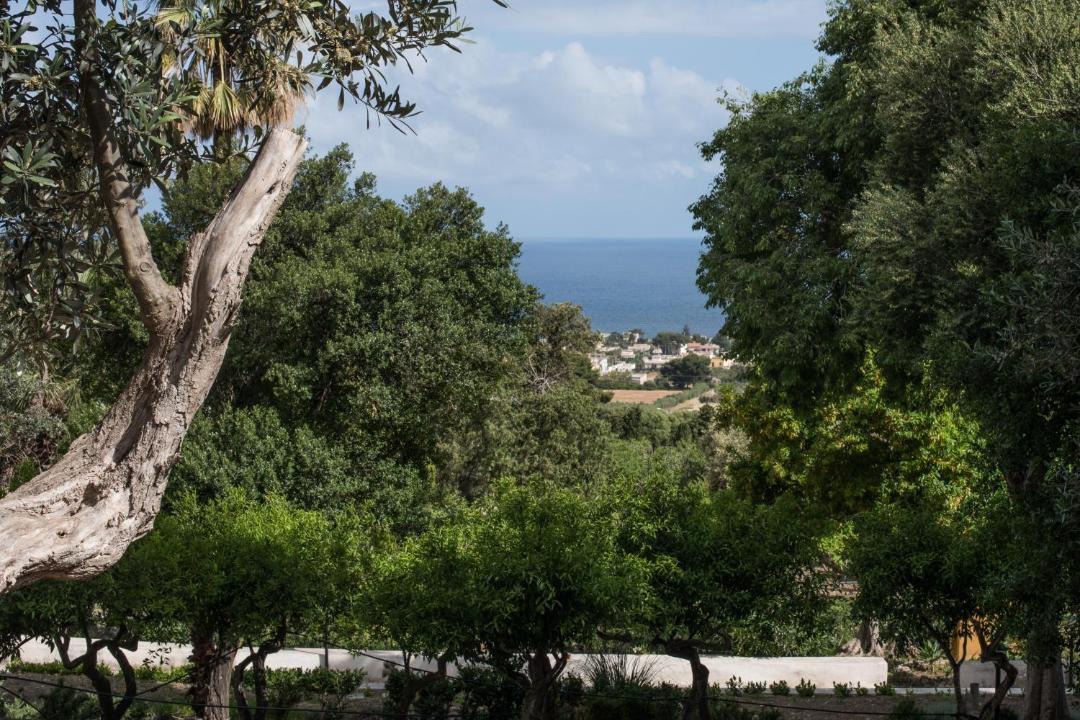 Photo of Others in Sant'Andrea Bonagia