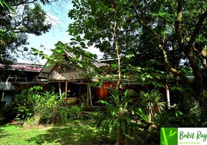 Bukit Raya Guesthouse