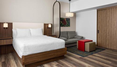 Queen Studio Suite with Roll-in Shower - Mobility Access