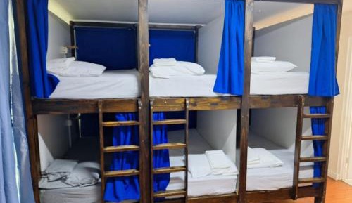 Single Bed in Mixed Dormitory Room