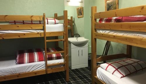 Bunk Bed in Mixed Dormitory Room