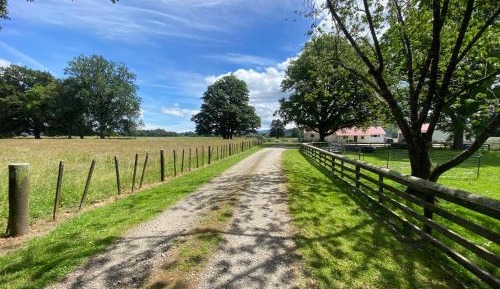 Two-Bedroom Apartment with View