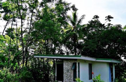 Studio with Terrace