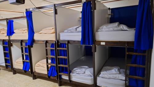 Bed in 10-Bed Mixed Dormitory Room