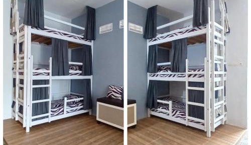 6-Bed Mixed Dormitory Room