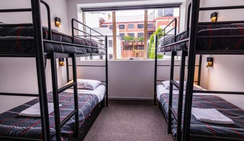 Bed in 4-Bed Mixed Dormitory Room with En suite Bathroom 
