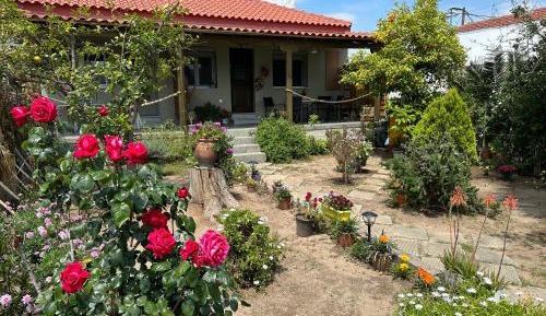 Apartment with Garden View