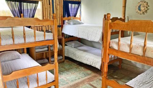 Bed in 6-Bed Female Dormitory Room
