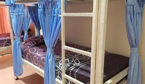 Bunk Bed in Mixed Dormitory Room