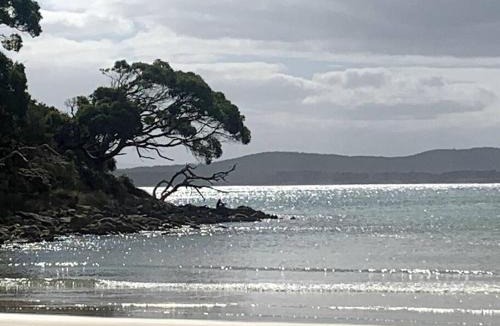 Apollo Bay House | Bruny Island, Secluded Waterfront on 5 acres